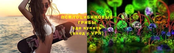 индика Надым