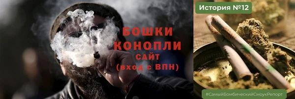 индика Надым