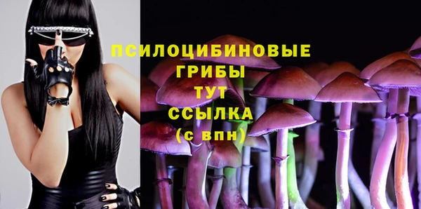 спиды Михайловск