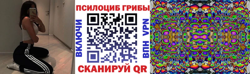 Псилоцибиновые грибы Magic Shrooms  Владивосток 