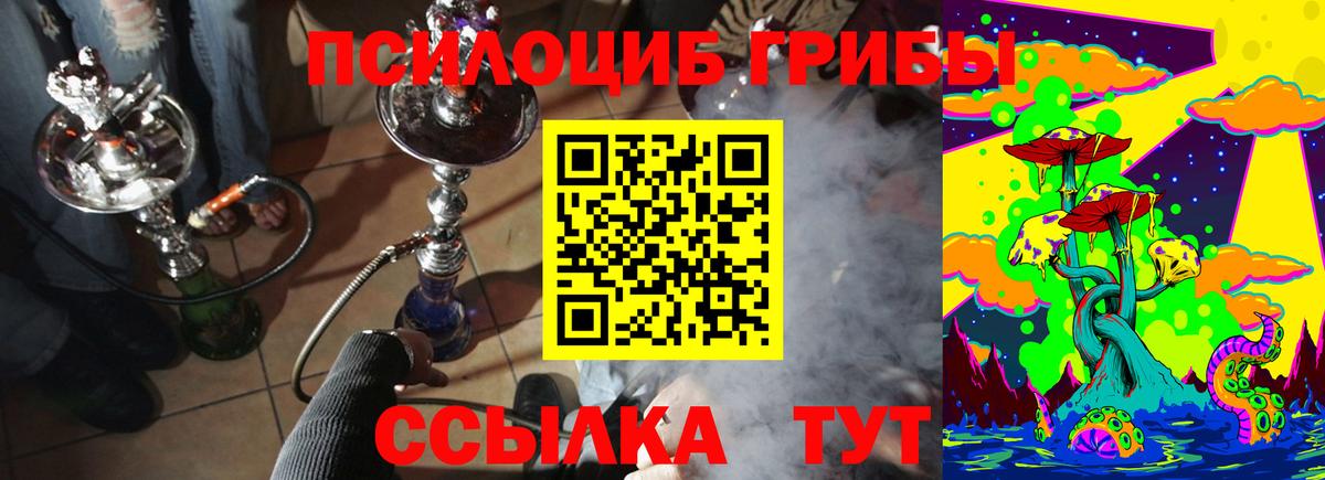 Псилоцибиновые грибы Cubensis Владивосток
