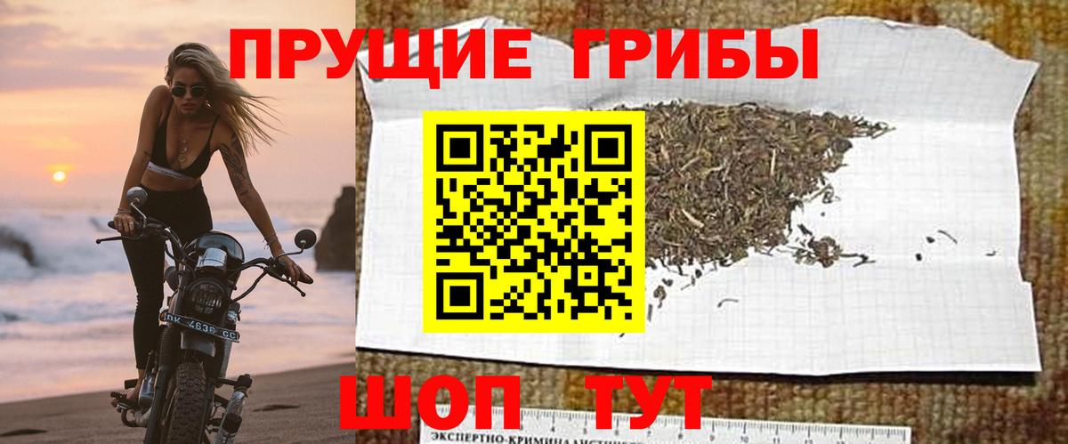 Галлюциногенные грибы мухоморы  Псилоцибиновые грибы Psilocybe  Владивосток  даркнет сайт  Вход с VPN 